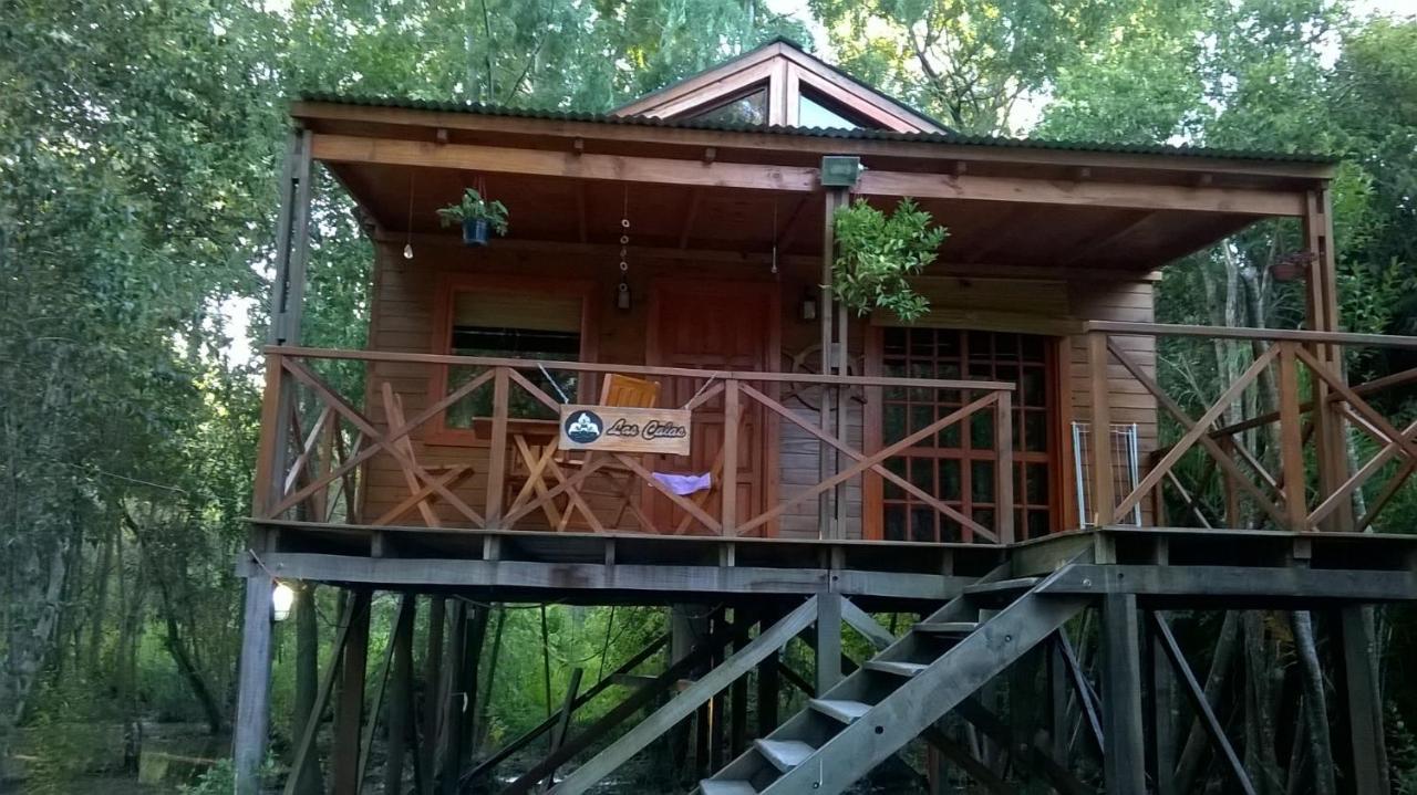 Posada Barlovento Tigre Exteriér fotografie