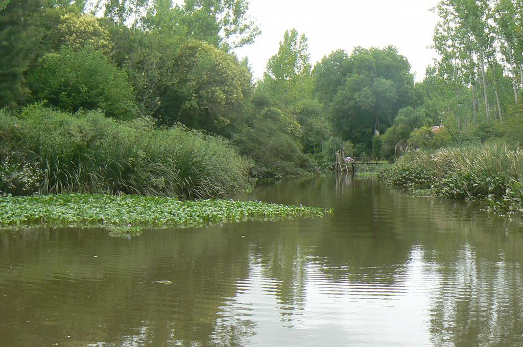 Posada Barlovento Tigre Pokoj fotografie