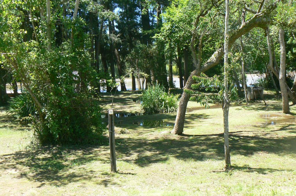 Posada Barlovento Tigre Pokoj fotografie