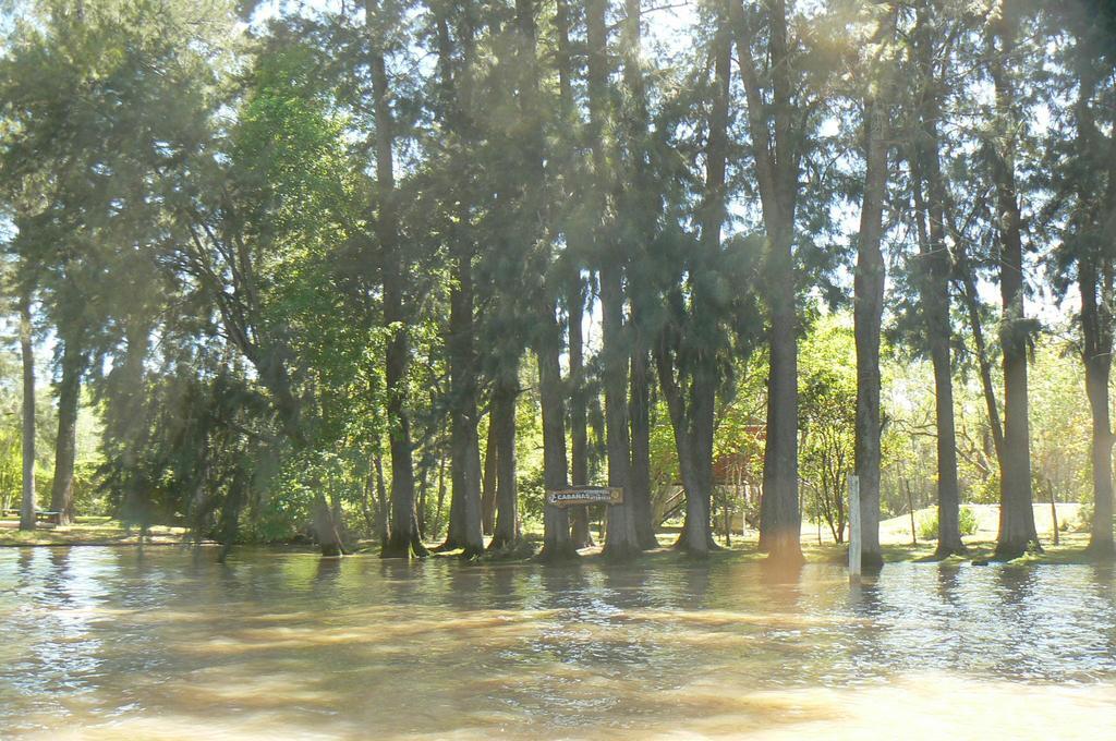 Posada Barlovento Tigre Pokoj fotografie