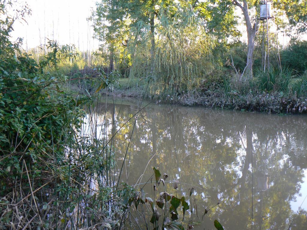 Posada Barlovento Tigre Pokoj fotografie