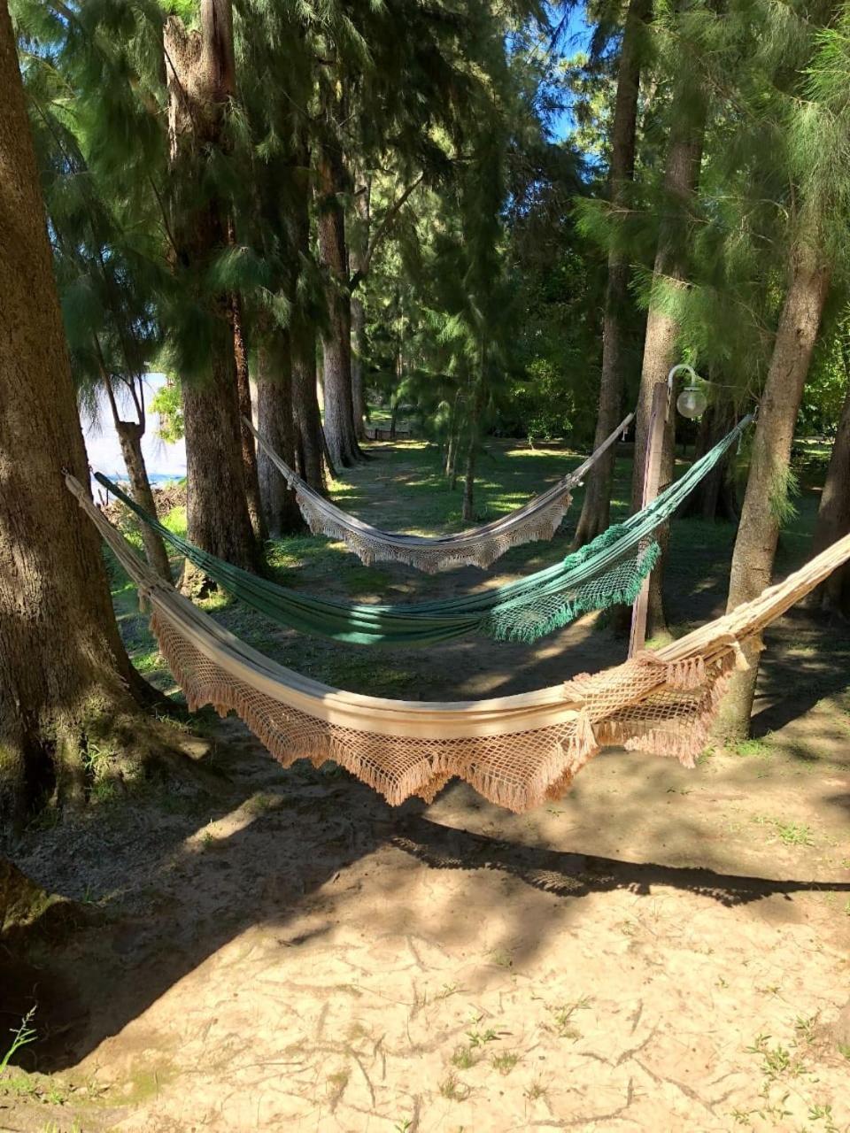 Posada Barlovento Tigre Exteriér fotografie